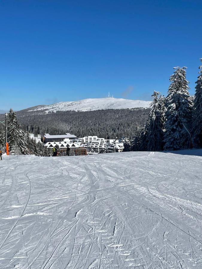 Woodside Apartment 431, Kopaonik - One Separate Bedroom 35M2- Free Parking & Spa Εξωτερικό φωτογραφία